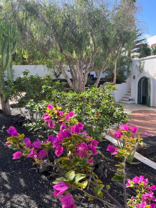 Casa Chili Apartment Costa Teguise Bagian luar foto